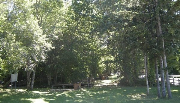 休暇村支笏湖-モラップキャンプ場