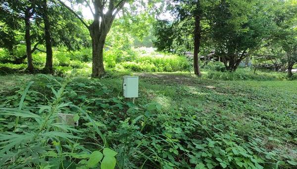 信州まるべりーオートキャンプ場