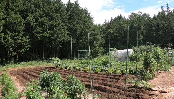 信州まるべりーオートキャンプ場