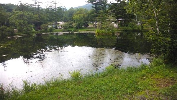 八千穂高原 駒出池キャンプ場