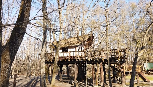 北軽井沢スウィートグラス 北軽井沢スウィートグラス