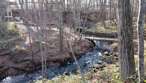 北軽井沢スウィートグラス 北軽井沢スウィートグラス