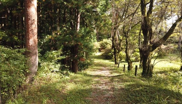 千人塚公園キャンプ場