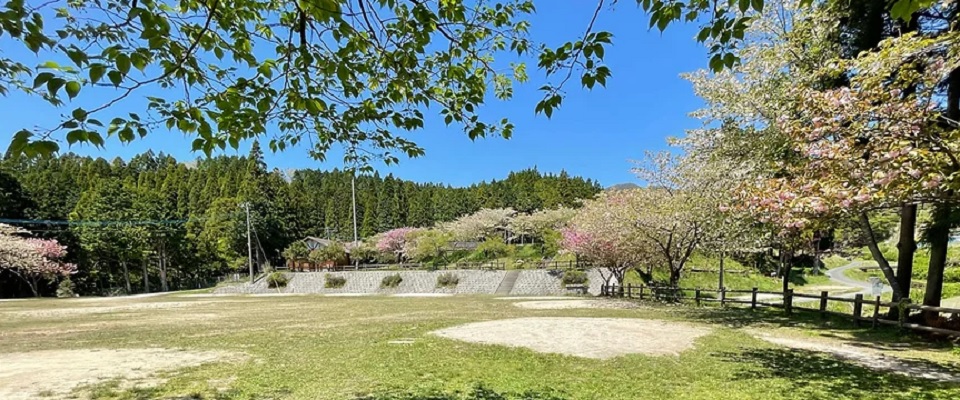 吉野山キャンプ場