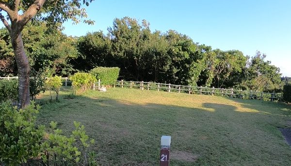 和島オートキャンプ場