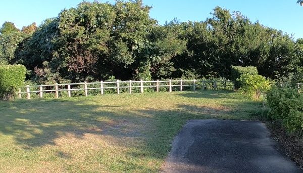 和島オートキャンプ場