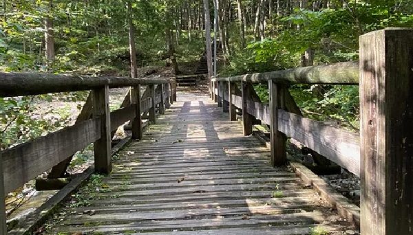 和良大月の森公園キャンプ場