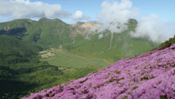 坊ガツルキャンプ場