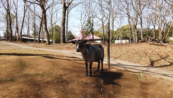 城里町総合野外活動センター「ふれあいの里」