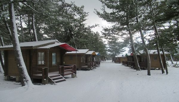 大島キャンプ場