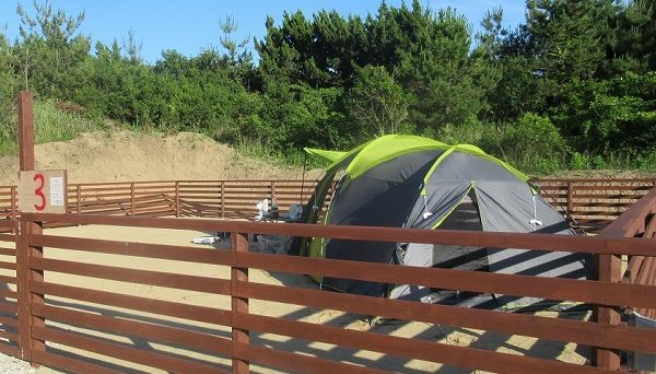 大島キャンプ場