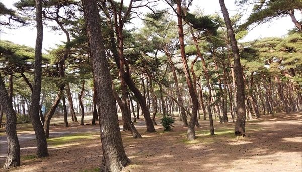 大洗キャンプ場