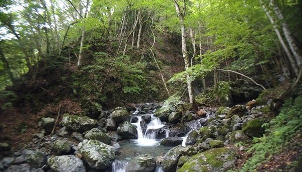 大渡キャンプ場