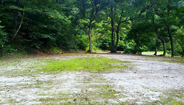 大源太キャニオンキャンプ場