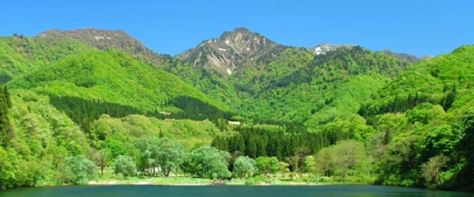 大源太キャニオンキャンプ場