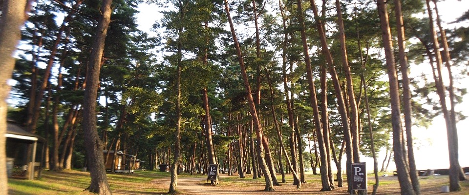 天神浜オートキャンプ場