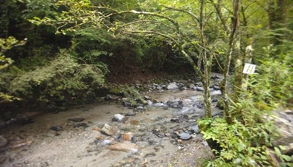 奥道志オートキャンプ場