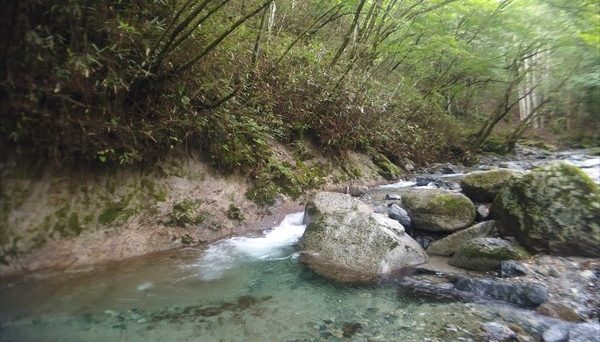 奥道志オートキャンプ場