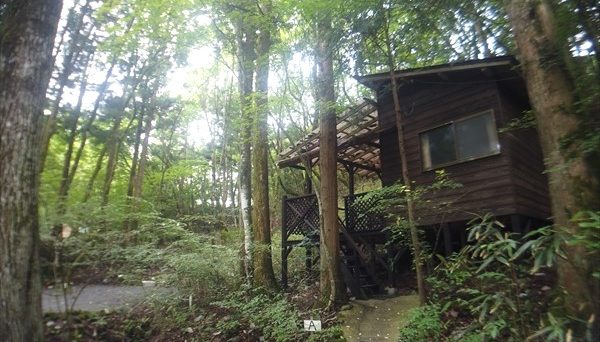 奥道志オートキャンプ場