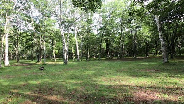 姫木平ホワイトバーチキャンプフィールド 姫木平ホワイトバーチキャンプフィールド