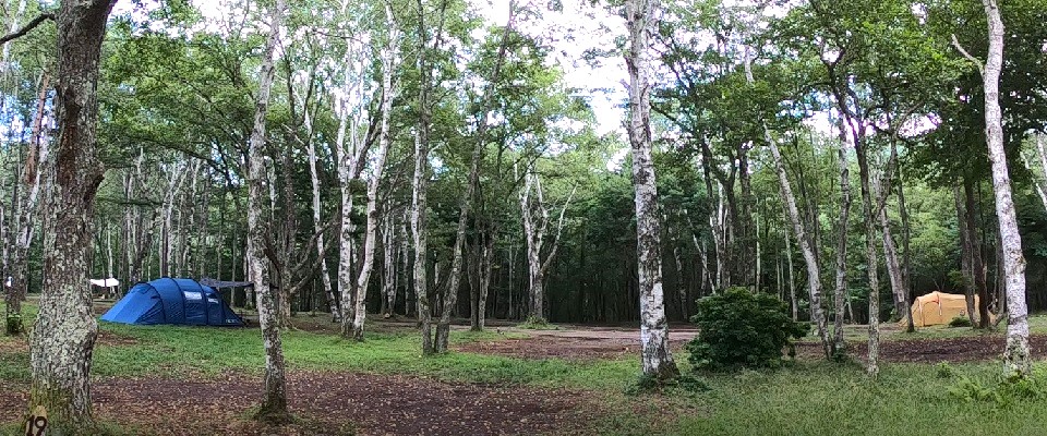 姫木平ホワイトバーチキャンプフィールド