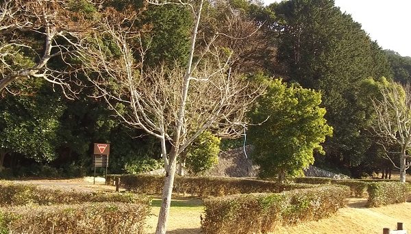 孫太郎オートキャンプ場