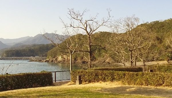 孫太郎オートキャンプ場