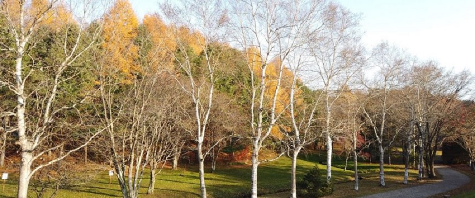 安平町ときわキャンプ場