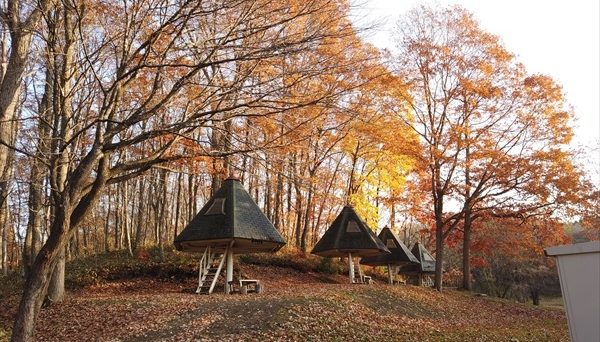 安平町ときわキャンプ場