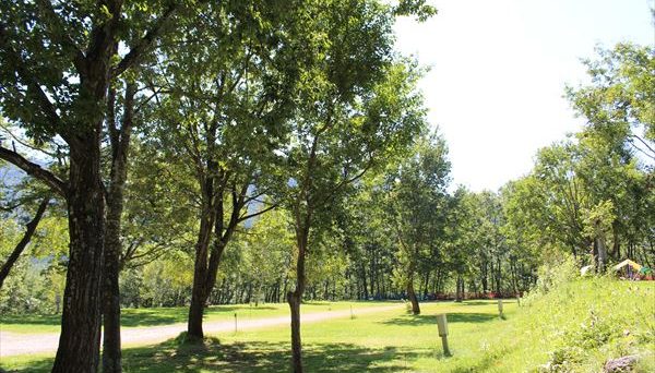 水上 宝台樹キャンプ場