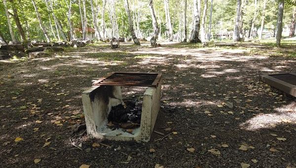 水上 宝台樹キャンプ場