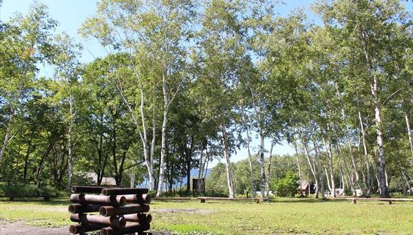 水上 宝台樹キャンプ場