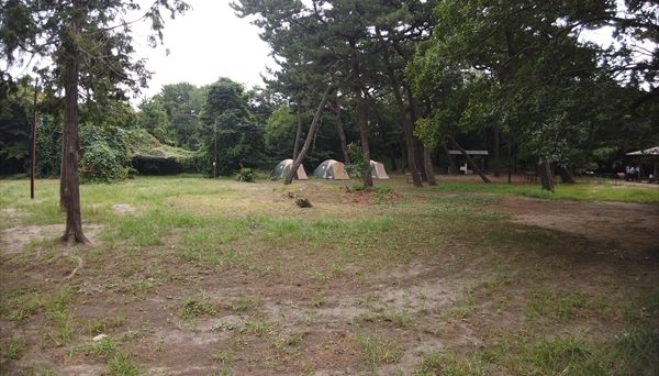 富津公園キャンプ場