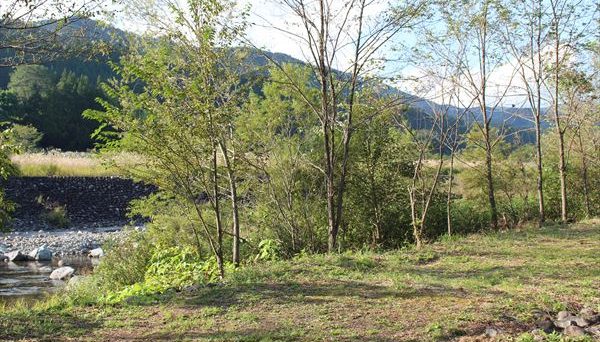 尾瀬高原オートキャンプ場