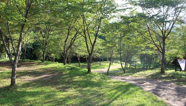 尾瀬高原オートキャンプ場