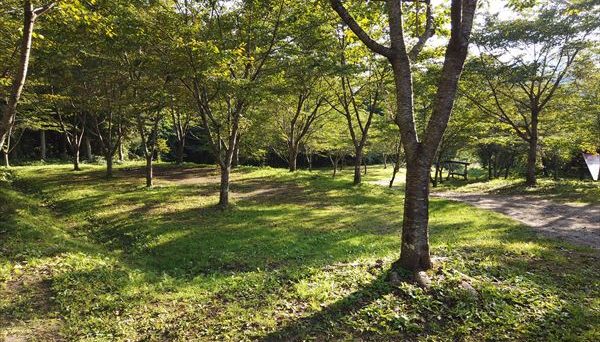 尾瀬高原オートキャンプ場