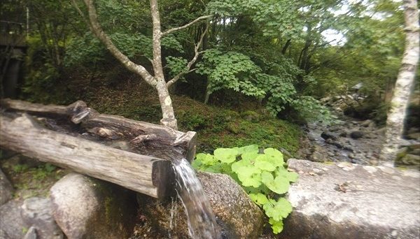 山伏オートキャンプ場