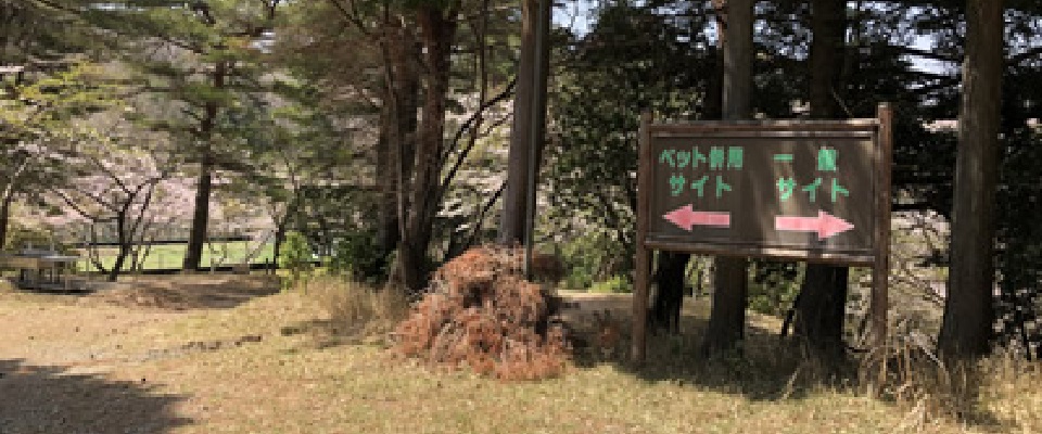 山崎アウトドアランド