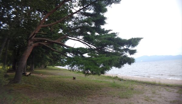 崎川浜キャンプ場