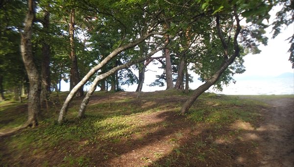 崎川浜キャンプ場