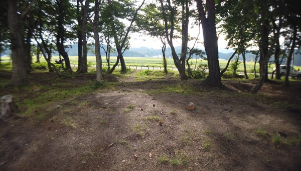 崎川浜キャンプ場