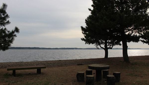 広浦公園キャンプ場 広浦公園キャンプ場