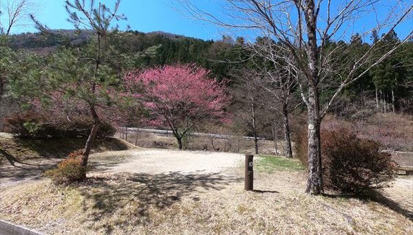 弓の又キャンプ場