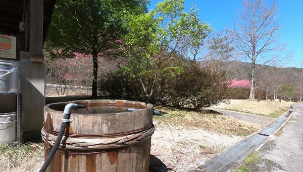 弓の又キャンプ場