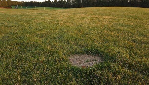 弥生パークキャンプ場