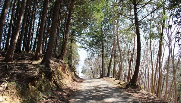 御前山青少年旅行村