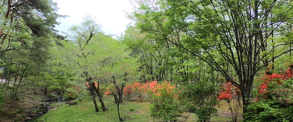 日光だいや川公園オートキャンプ場