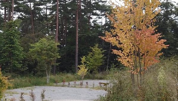 FLAMME日向山オートキャンプサイト