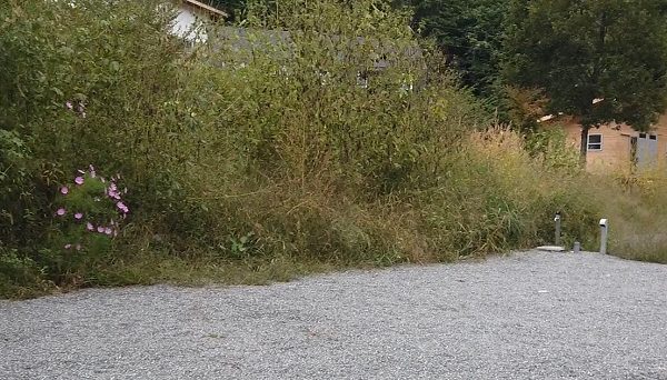 FLAMME日向山オートキャンプサイト