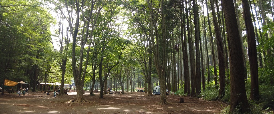 昭和の森フォレストビレッジ